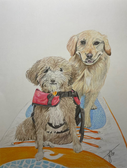 Personalized Pet Full Body Drawing