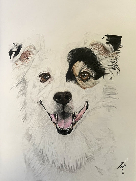 Personalized Pet Portrait